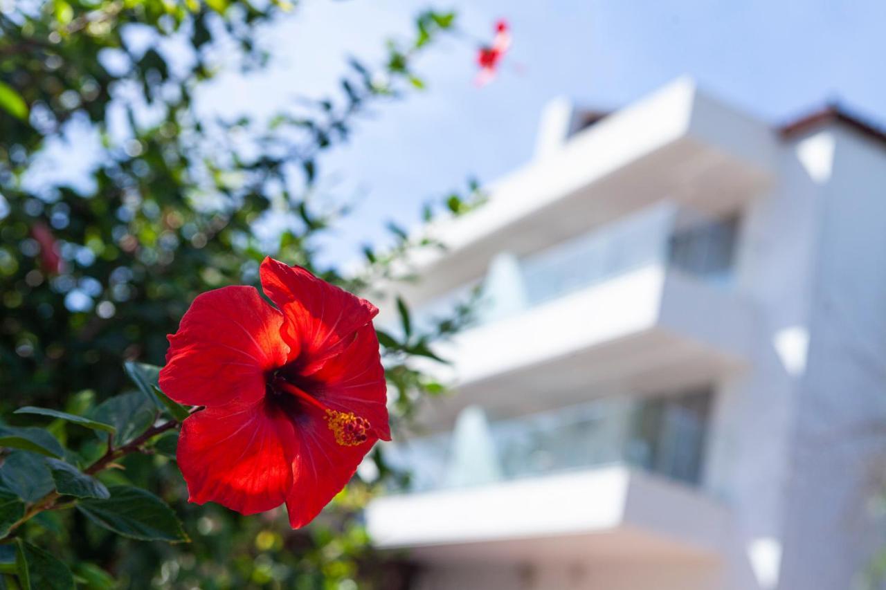 Jerez&spa Hotel